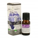 Aceite Esencial Salvia De Espa&ntilde;a Bio 10ml Terpenic