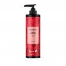 Champ&uacute; Senssitive Antica&iacute;da Sin Sulfatos 250ml Ebers