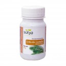 Cola Caballo 100Compr. Sotya