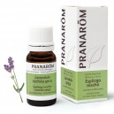 Aceite Esencial Espliego Macho 10ml Pranar&ocirc;m