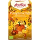 Yogi Tea Pumpkin Chai 17 Filtros