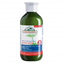 Champ&uacute; Antica&iacute;da (Corpore Sano)
