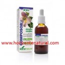Composor 20 Dologen Complex SXXI