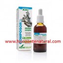 Composor 21 Obestane Complex SXXI