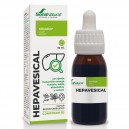 Composor 03 Hepavesical Complex SXXI
