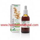 Extracto SXXI Avena Soria Natural