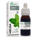 Extracto SXXI Melisa Soria Natural