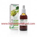 Extracto SXXI Tila Soria Natural