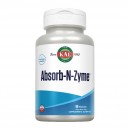 Absorb-N-Zyme 90 Comprimidos
