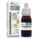 Extracto SXXI Rompepiedras Soria Natural