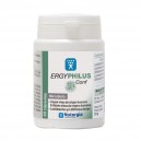 Ergyphilus Conf 60 C&aacute;ps.