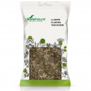 Llant&eacute;n 40 Grs Soria Natural