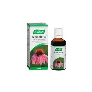Echinaforce 100ml