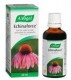 Echinaforce 100ml