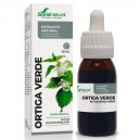 Extracto SXXI Ortiga Verde Soria Natural