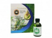 Champ&uacute; Concentrado Eucalipto 50ml D'Shila