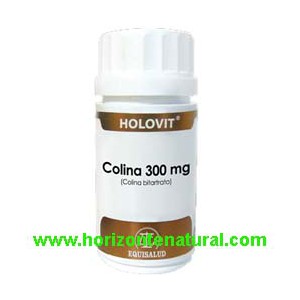 Holovit Colina 300mg 180 C&aacute;ps.