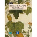 Hierbas Y Plantas Medicinales