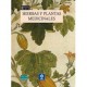 Hierbas Y Plantas Medicinales