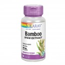 Bamboo 300 mg 60 C&aacute;psulas