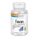 Focus For Children 60 Comprimidos Mast.
