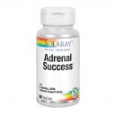 Adrenal Success 60 C&aacute;ps.