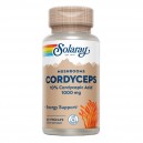 Cordyceps Ext. 500 mg 60 C&aacute;ps. Solaray