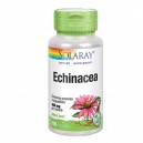 Echinacea (Purpurea/Angustifolia)460mg 100C&aacute;ps.