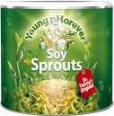 Soy Sprouts 220Grs Young Phorever