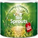 Soy Sprouts 220Grs Young Phorever