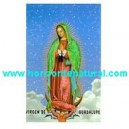 Estampa Virgen de Guadalupe