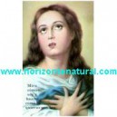 Estampa Oraci&oacute;n De Amor