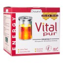 Vital Pur Energy