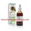 Extracto SXXI Tomillo 50ml Soria Natural