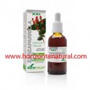 Extracto SXXI Zarzaparrilla 50ml Soria Natural