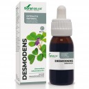 Extracto SXXI Desmodens 50ml Soria Natural