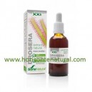 Extracto SXXI Drosera 50ml Soria Natural