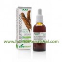 Extracto SXXI Eleuterococo 50ml Soria Natural