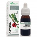 Extracto SXXI Gayuba 50ml Soria Natural