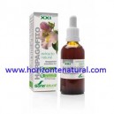 Extracto SXXI Harpagofito 50ml Soria Natural