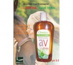 Champ&uacute; Biotina + Aloe Vera Aloebody