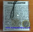 Colgante Tetragramaton Plata Intermedio