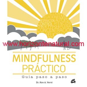Mindfulness Pr&aacute;ctico
