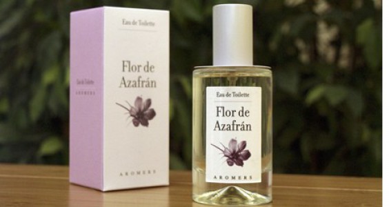 Flor De Azafrán (Alta Permanencia)