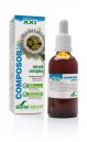 Composor 28 Nerval Complex XXI