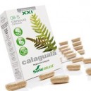 C&aacute;psulas 08-S Calaguala Liberaci&oacute;n Prolongada