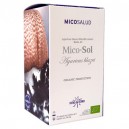 Mico-Sol (Champi&ntilde;&oacute;n Del Sol)