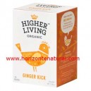 Infusi&oacute;n Jengibre 15 Filtros Higher Living
