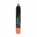 Barra Labios Brillo En L&aacute;piz Rusty Rose Benecos